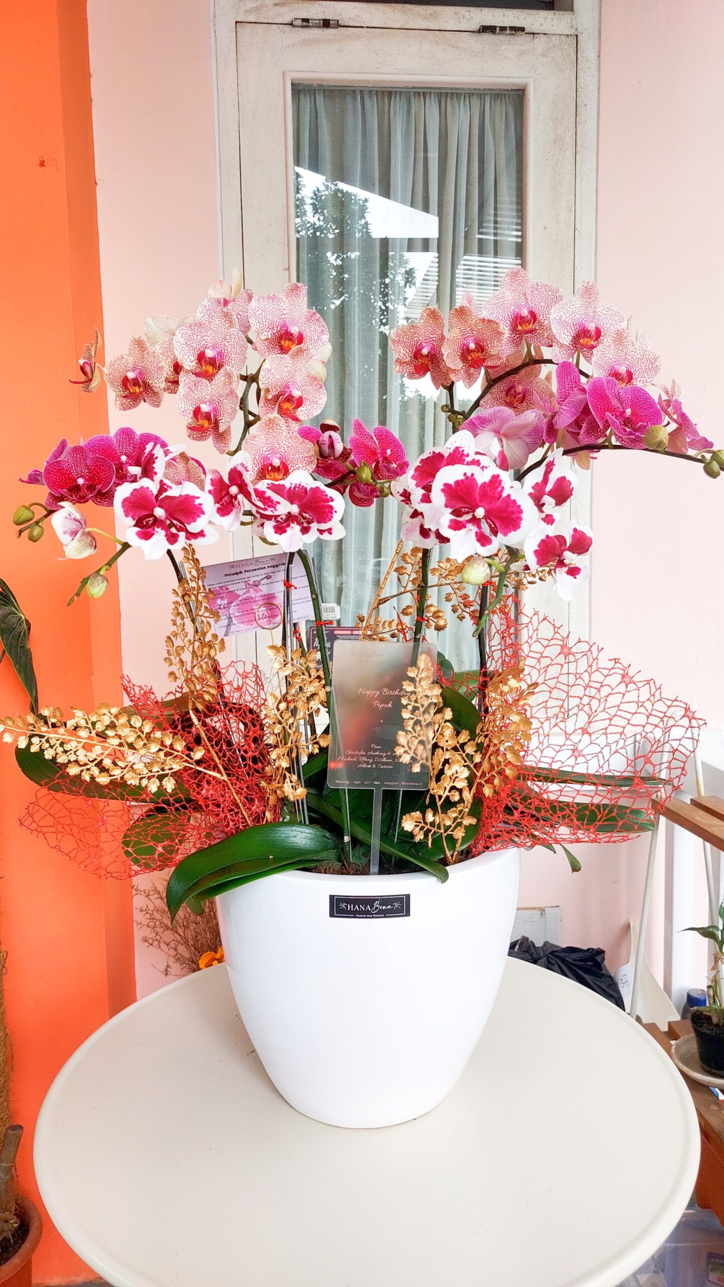 WhatsApp Image 2025-02-18 at 23.45.13_2802fadc