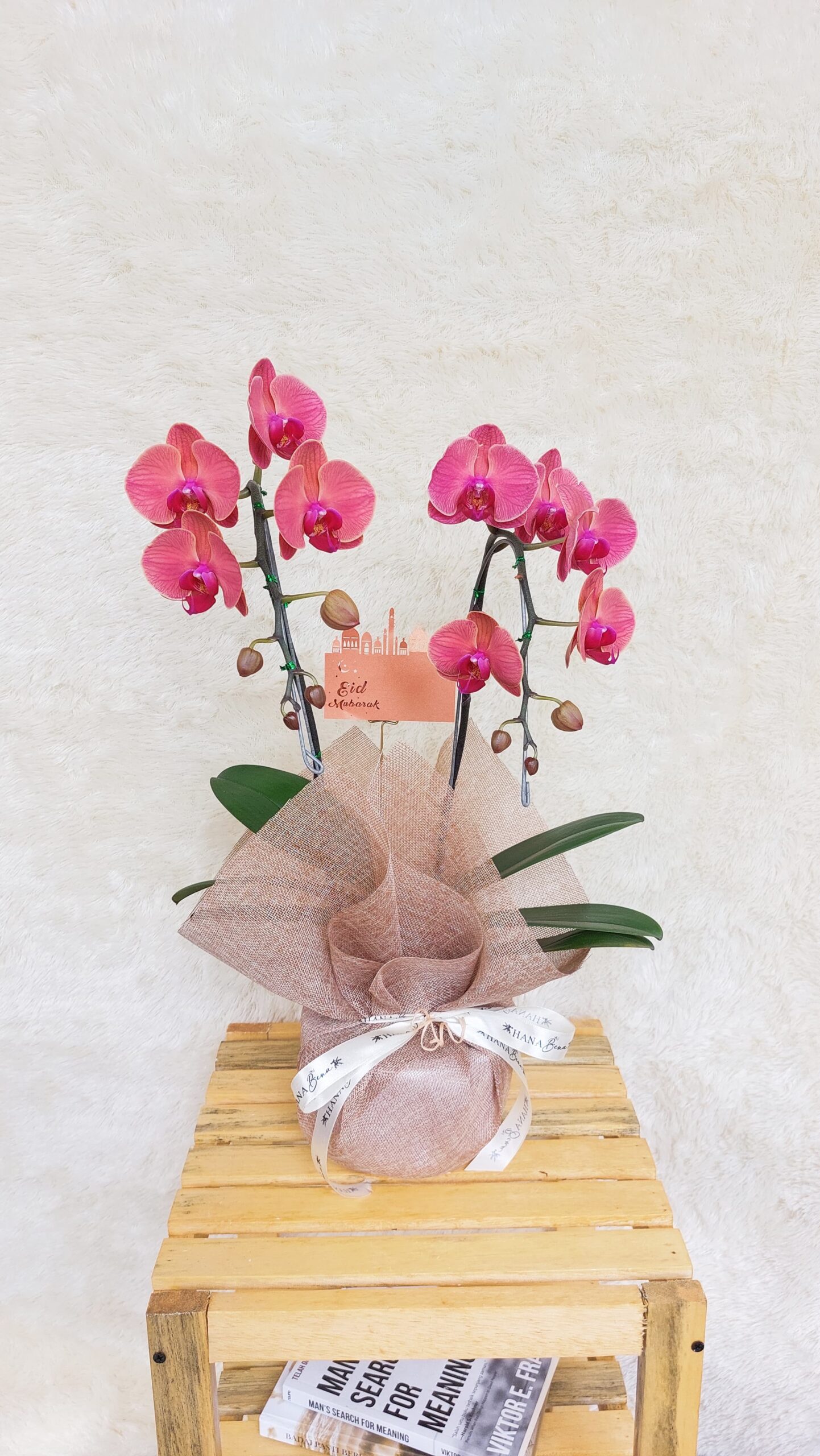 WhatsApp Image 2025-02-18 at 23.45.13_8369e3d5