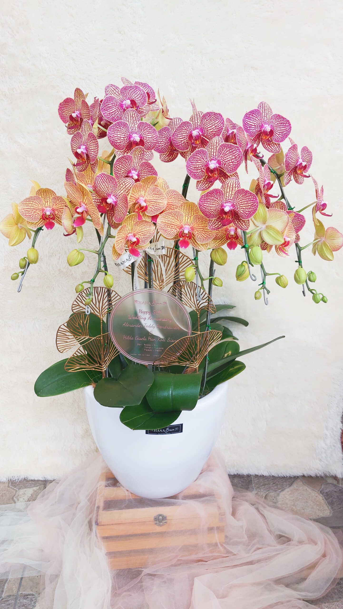 WhatsApp Image 2025-02-18 at 23.45.13_d6ed0560