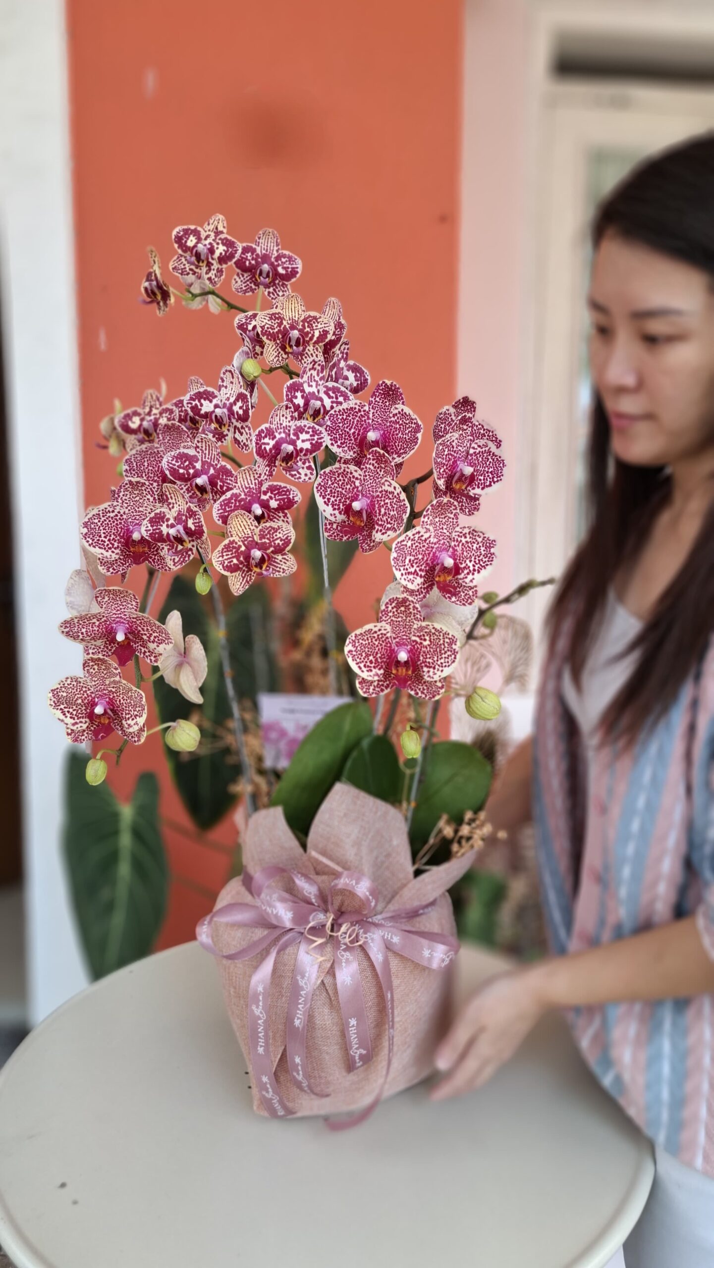 WhatsApp Image 2025-02-18 at 23.45.14_b7581314