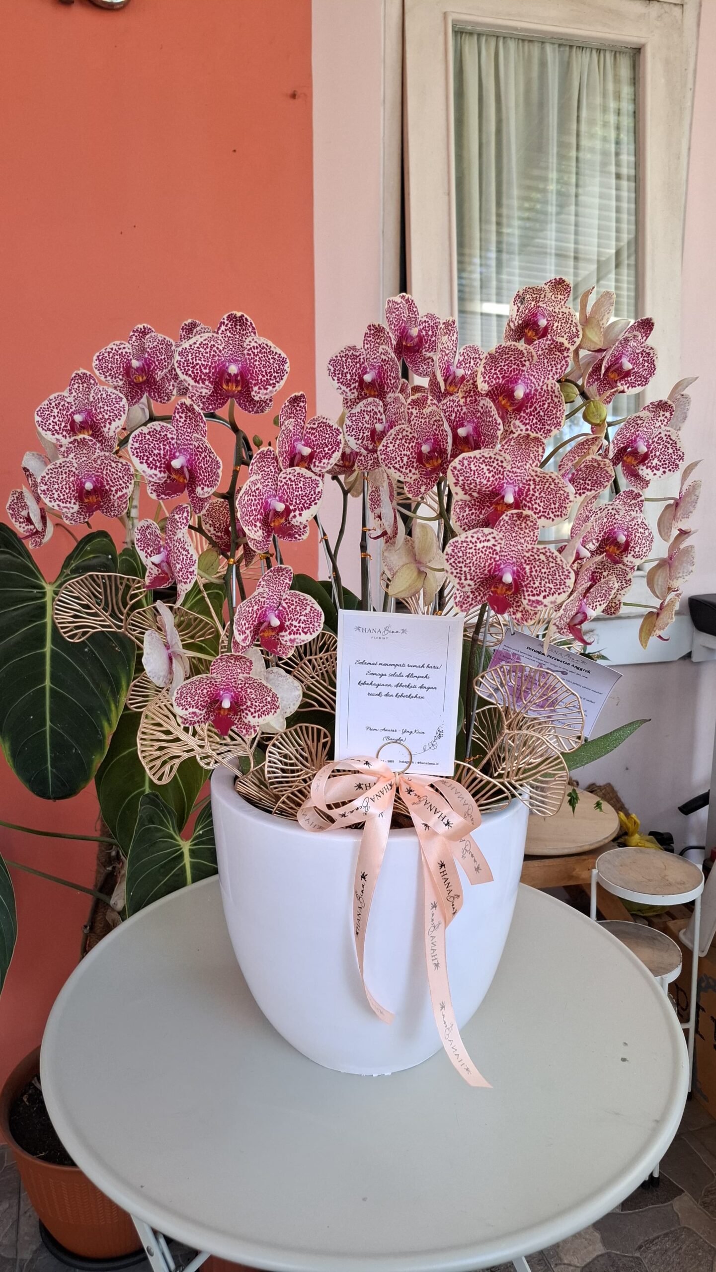 WhatsApp Image 2025-02-18 at 23.45.14_e97f09f3